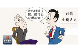 赵县赵县的要账公司在催收过程中的策略和技巧有哪些？